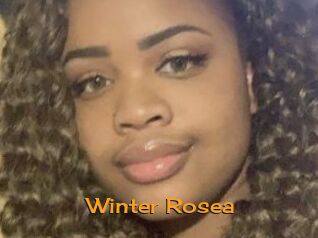 Winter_Rosea
