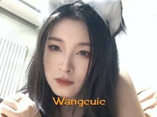 wangcuic Sortez Couvert