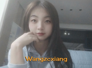 Wangzcxiang