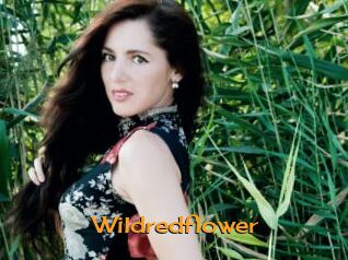 Wildredflower