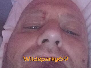 wildsparky69 Sortez Couvert