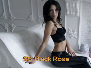 XS_Black_Rose