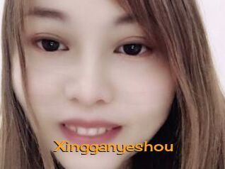 Xingganyeshou