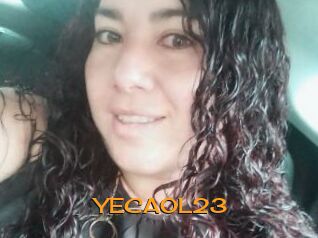 YECAOL23