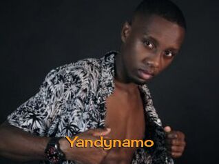 Yandynamo