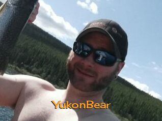 YukonBear