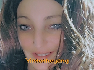 Yintotheyang