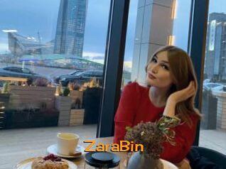 ZaraBin