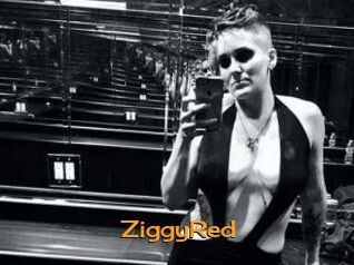 ZiggyRed