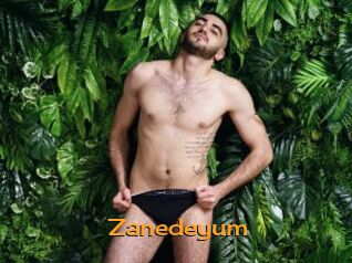 Zanedeyum