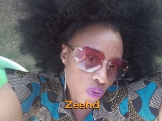 zeehd Sortez Couvert