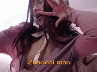 Zhaocai_mao