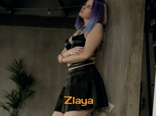Zlaya